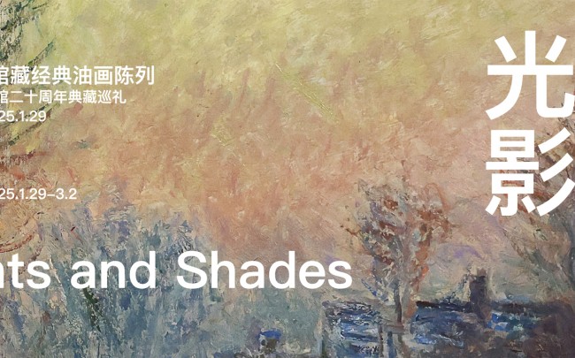 Lights and Shades -- Classic Oil Paintings at NMA