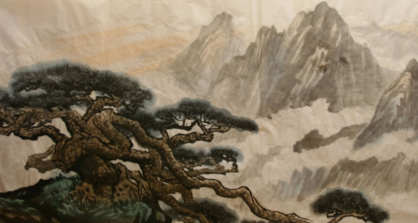 卧龙松