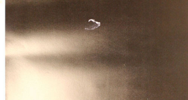 悉尼2000