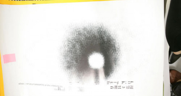 生灵THEPOPLE