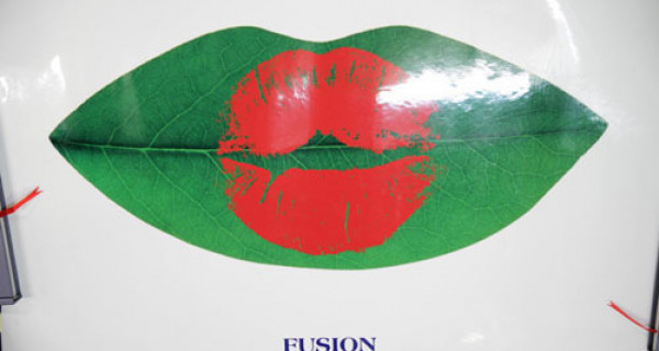 融合Fusion