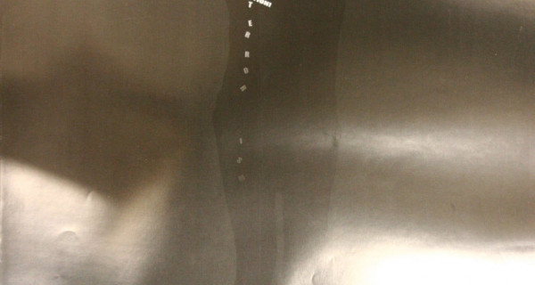 标志2004