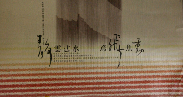 爱护动物