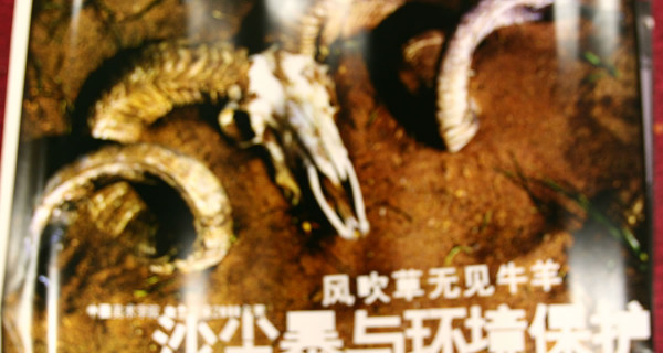 梁山伯与祝英台