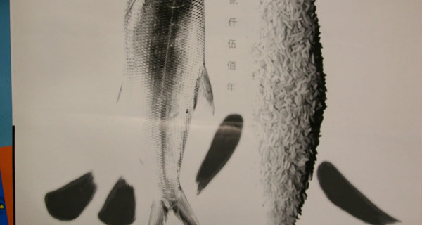 光我的眼睛