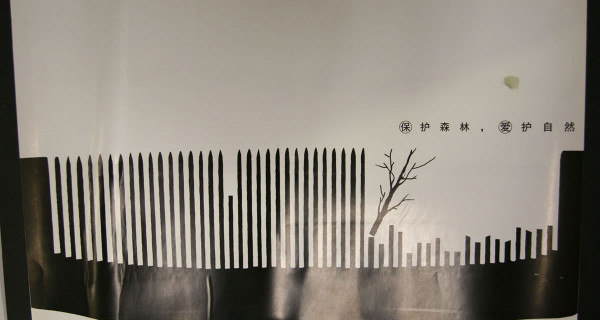 美