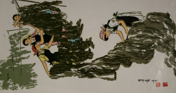 海带丰收