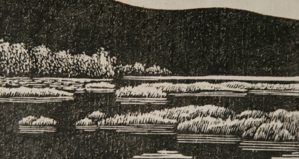 高原湖