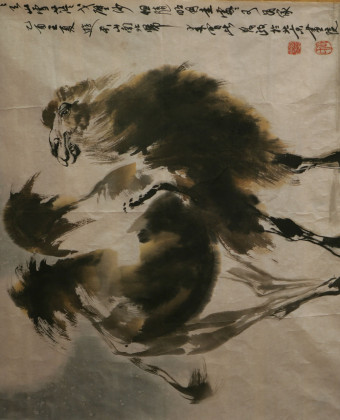 骆驼